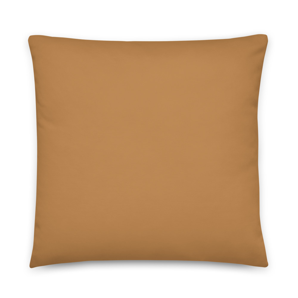 all-over-print-basic-pillow-22x22-5fe25a5fa476f.jpg